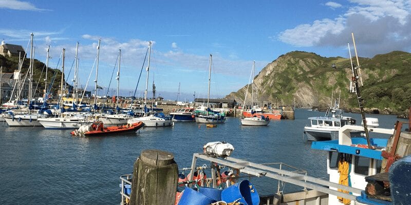 Family Day Out - Harbour