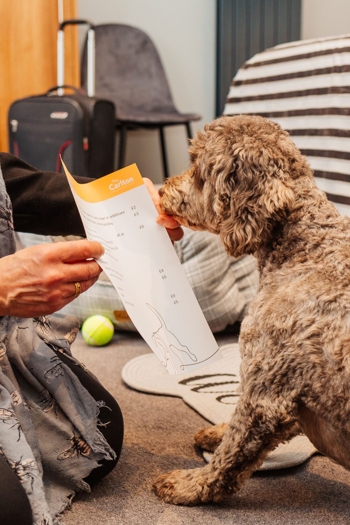 An dog owner and her dog in a dog-friendly hotel in North Devon looking at the doggy a la carte menu