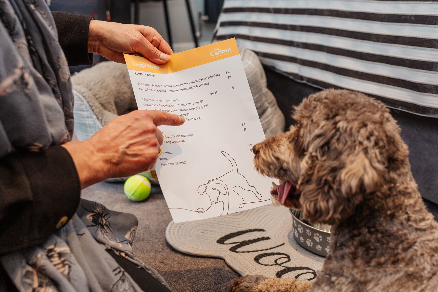 Dog-friendly hotel room at The Carlton in Ilfracombe, North Devon 
