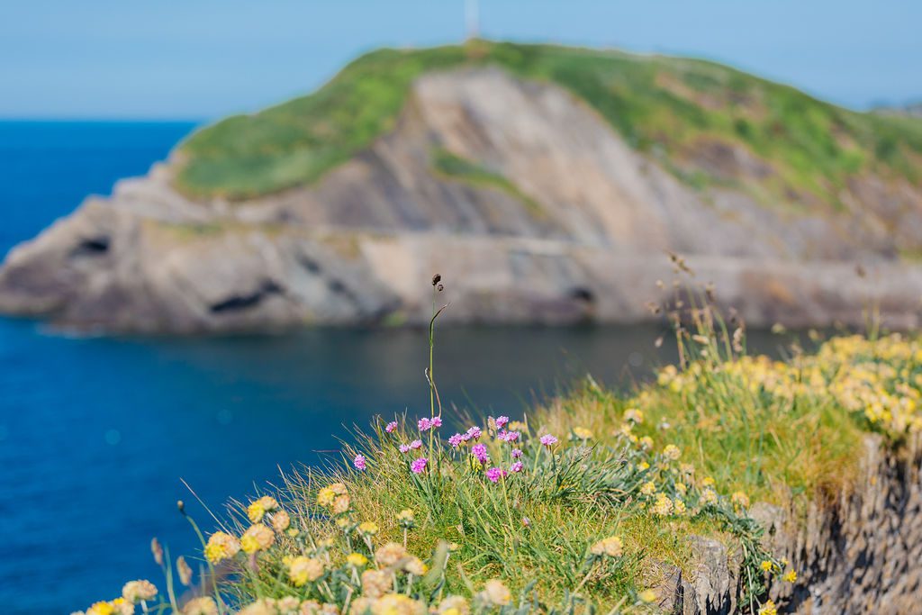 Peninsula of the South West Coast Path