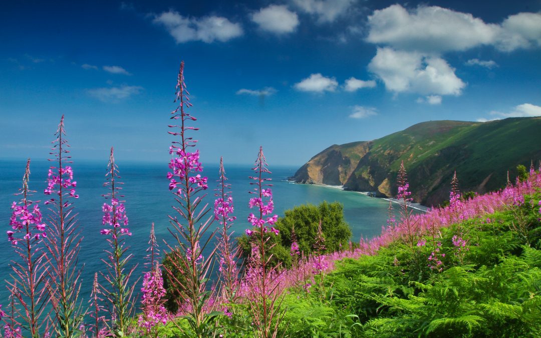 Secret picnic spots in North Devon